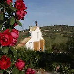 Eyexei Domus Bed and breakfast 4*