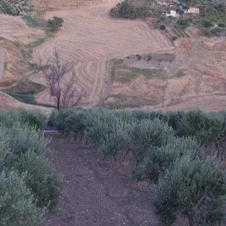 Eyexei Domus לינה וארוחת בוקר