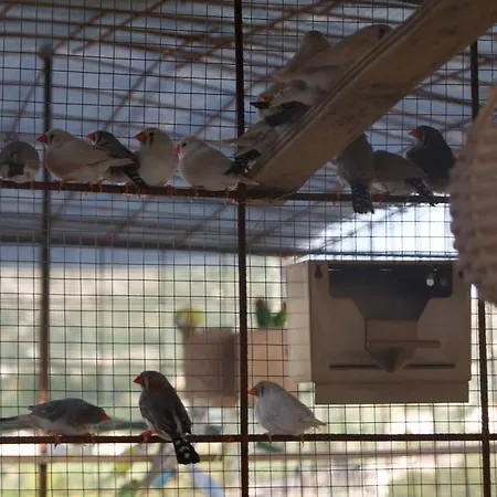 Eyexei Domus Couette-café Agrigente