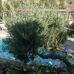 Eyexei Domus