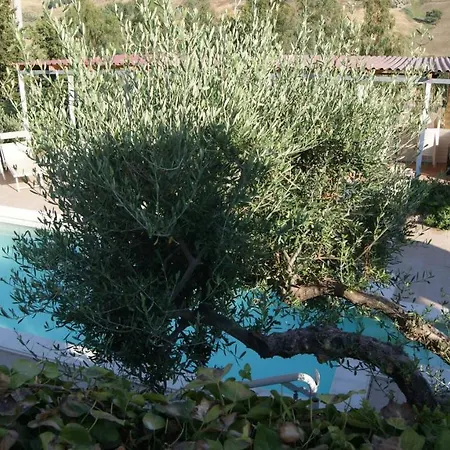 Eyexei Domus
