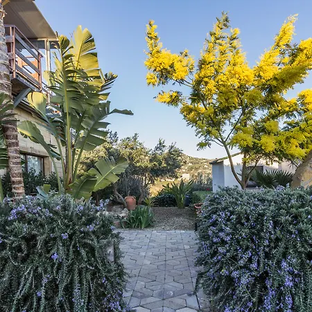 Oda ve Kahvaltı Eyexei Domus Agrigento
