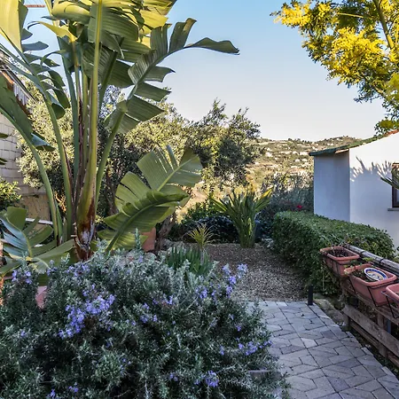 Eyexei Domus Oda ve Kahvaltı 4*