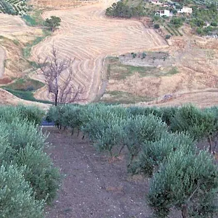Oda ve Kahvaltı Eyexei Domus