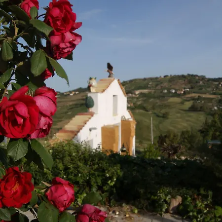 Eyexei Domus