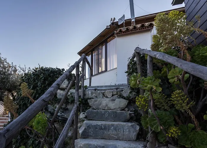 Eyexei Domus 4*